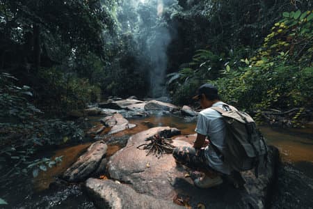 Sinharaja Rainforest Tour
