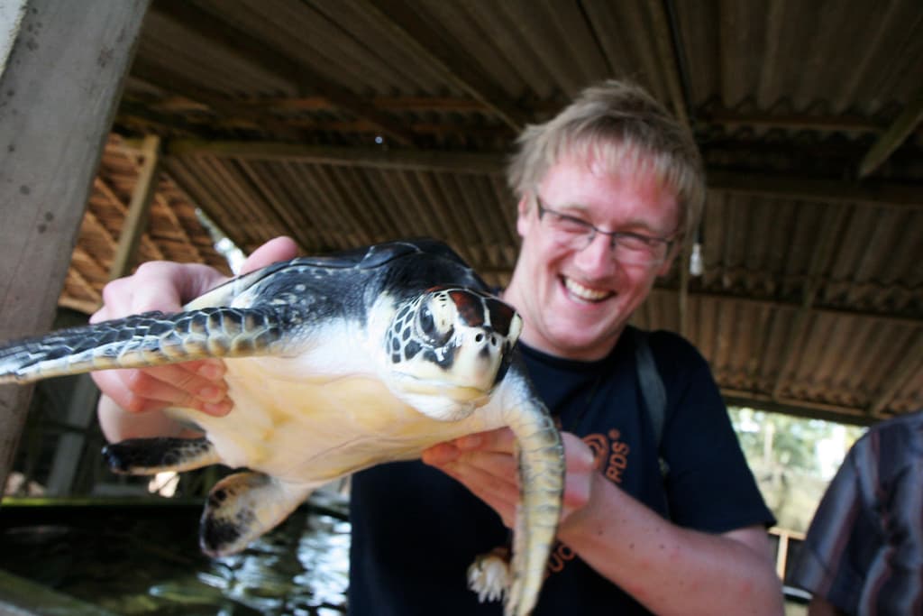 Kosgoda Turtle Hatchery Visit