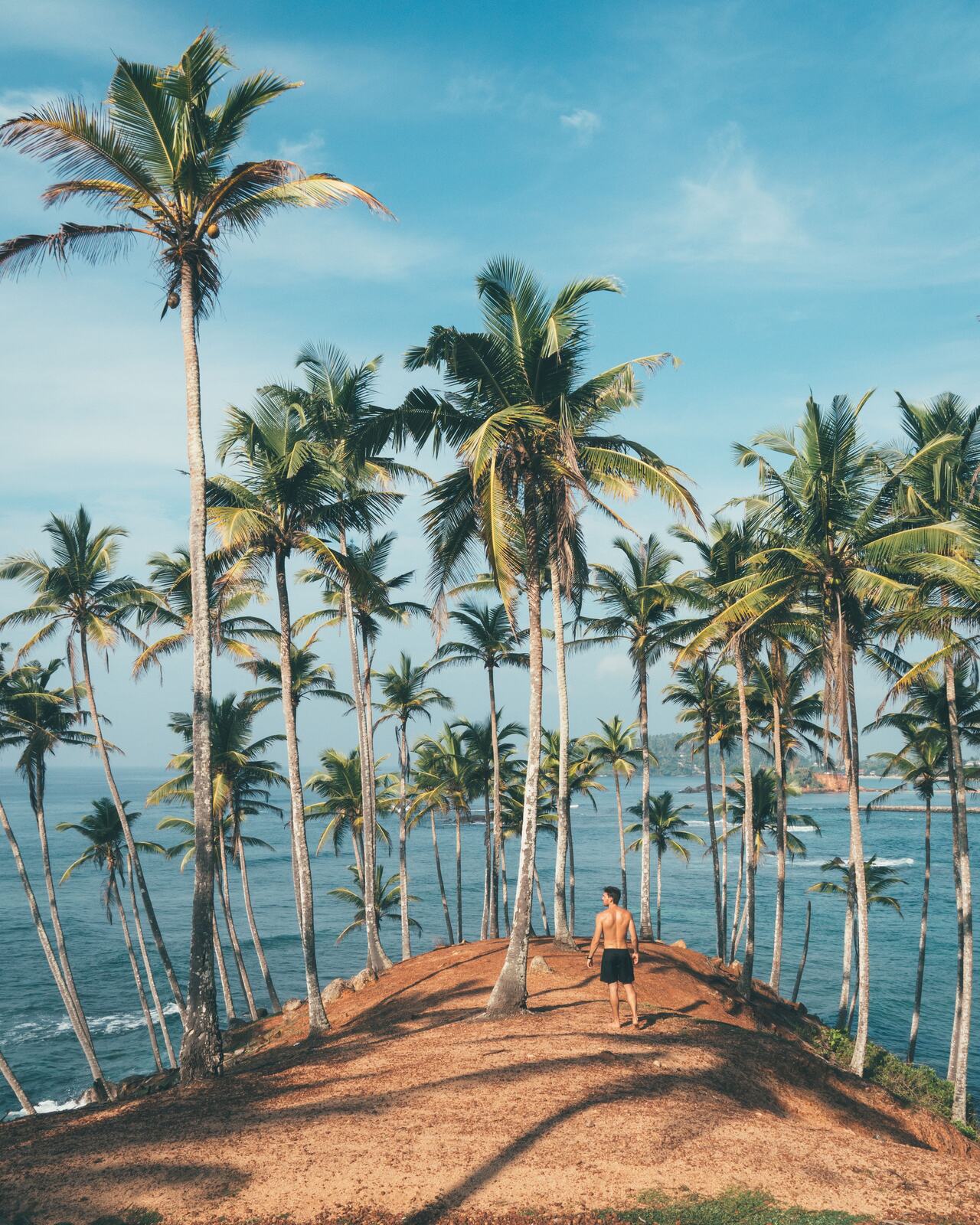 Best Time to Visit Sri Lanka (Region by Region)