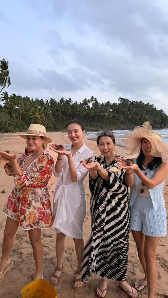 Baby turtles released into the sea