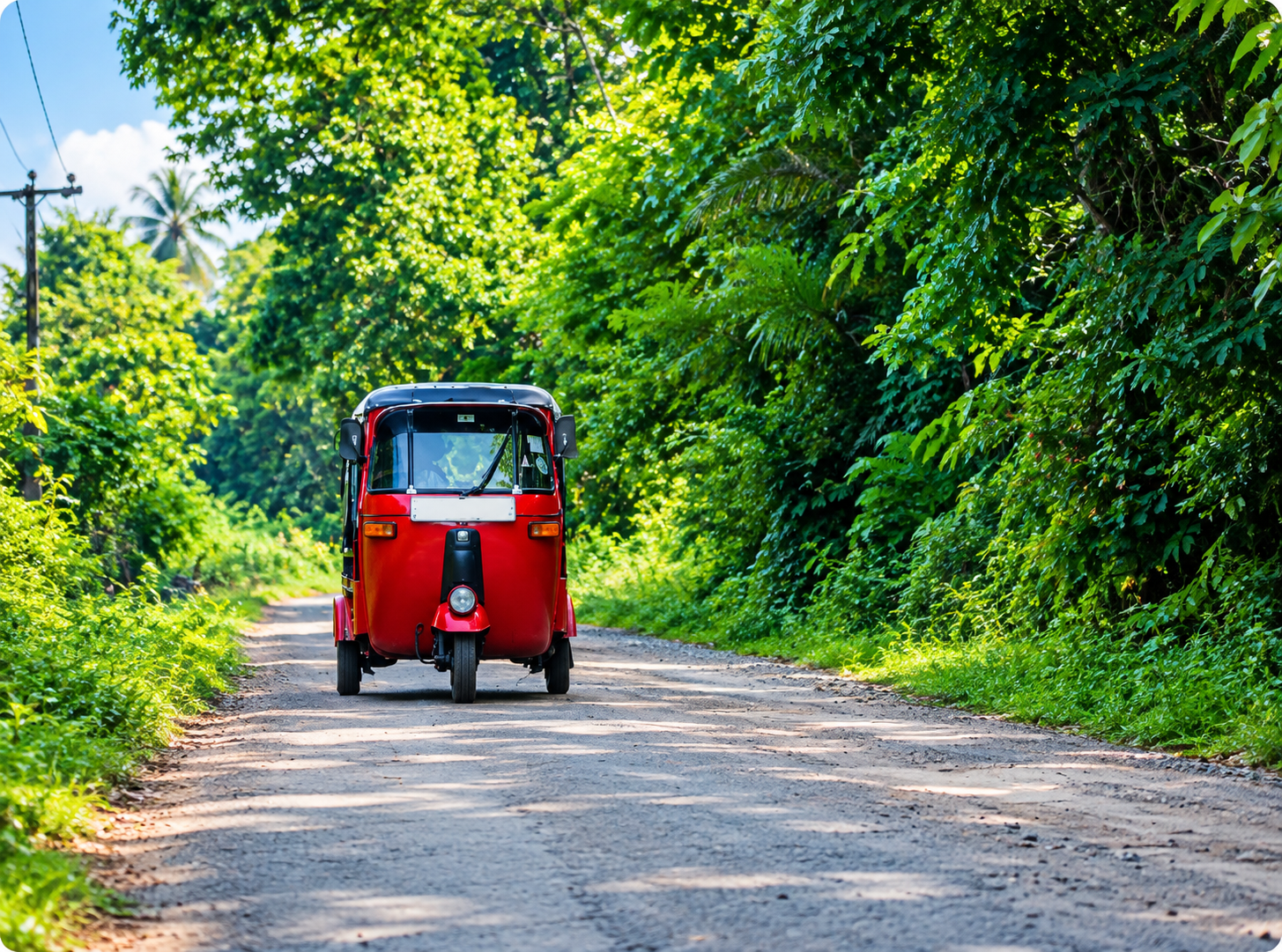 Ahungalla Village Tour by Tuk-Tuk